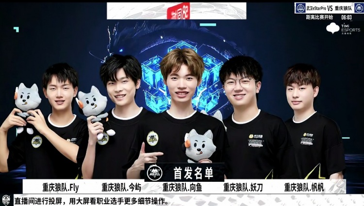 为什么有些