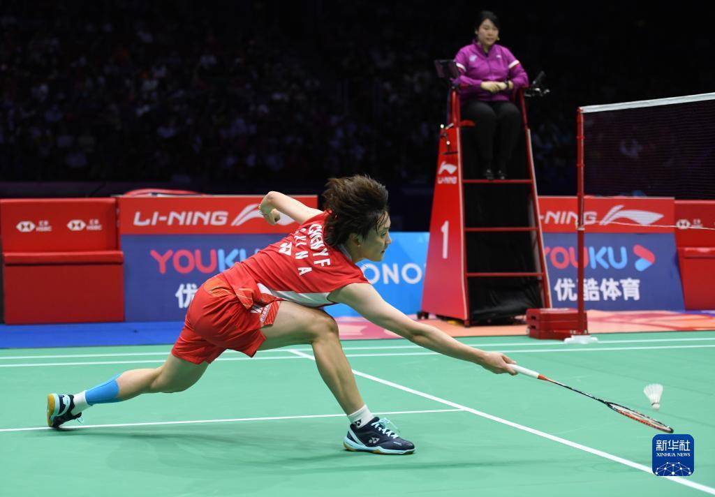 团队协作体 团队协作体