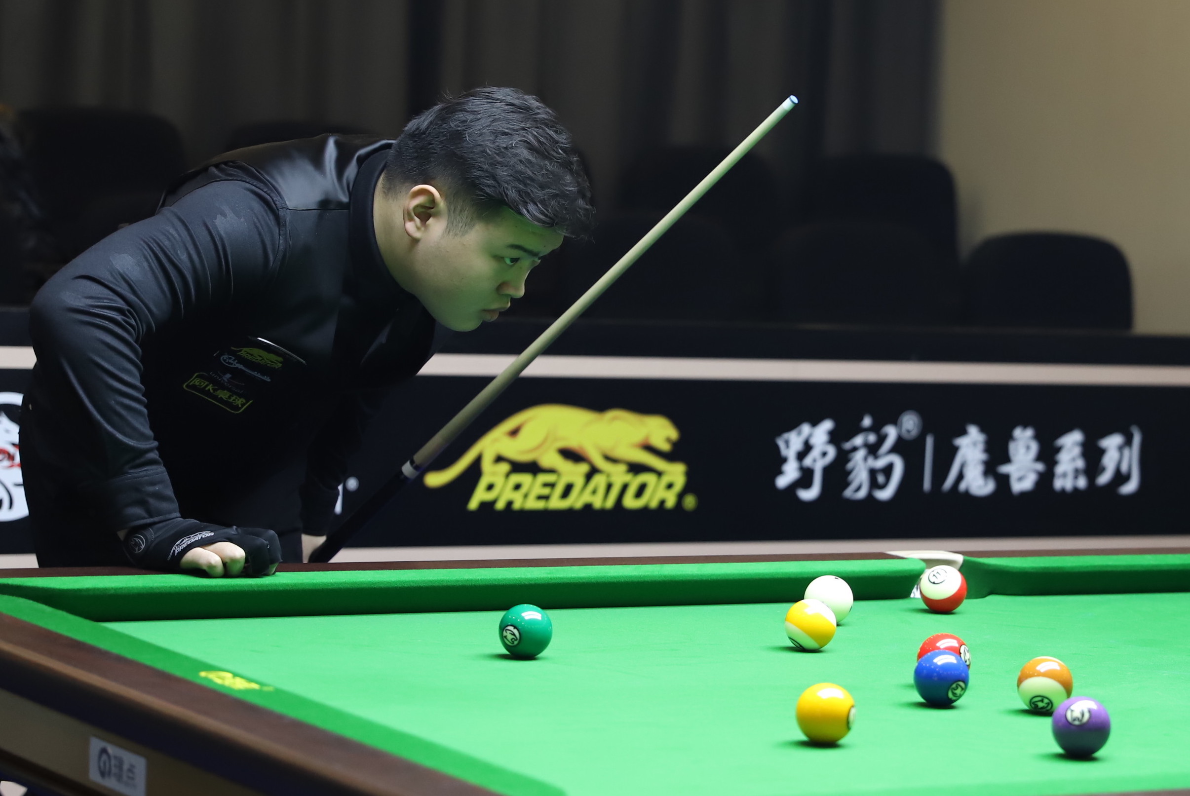 比如当明星 比如当明星